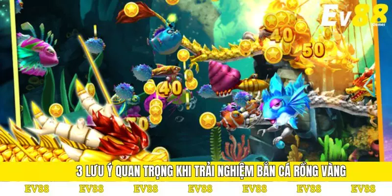 Bắn Cá Rồng Vàng – Trải Nghiệm Săn Thưởng Hấp Dẫn 4 3 lưu ý quan trọng khi trải nghiệm bắn cá rồng vàng