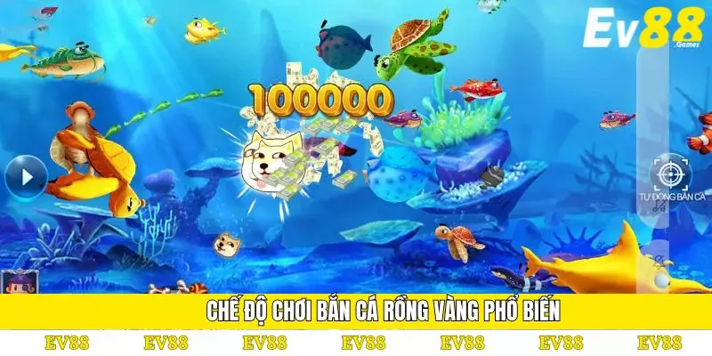 Bắn Cá Rồng Vàng – Trải Nghiệm Săn Thưởng Hấp Dẫn 3 Chế độ chơi bắn cá rồng vàng phổ biến