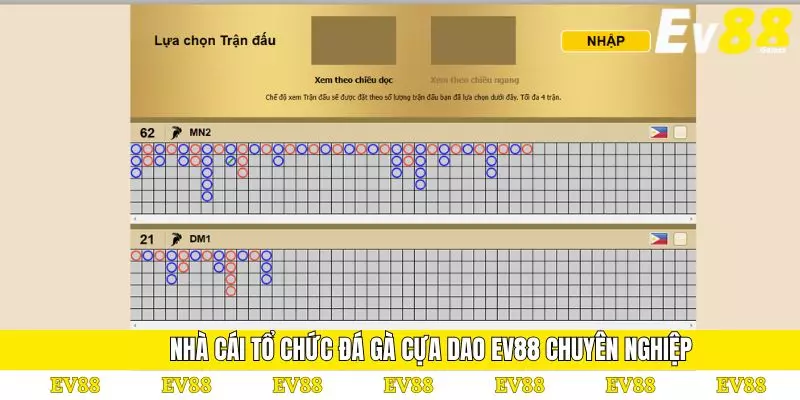 Đá Gà Cựa Dao EV88 – Sân Chơi Dành Cho Người Đam Mê 3 Nhà cái tổ chức đá gà cựa dao EV88 chuyên nghiệp