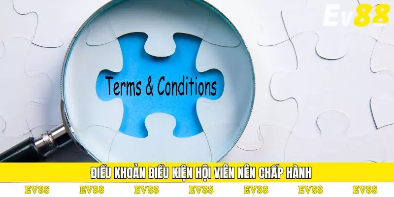 Điều Khoản Điều Kiện 1 Điều khoản điều kiện quy định về tài khoản của hội viên