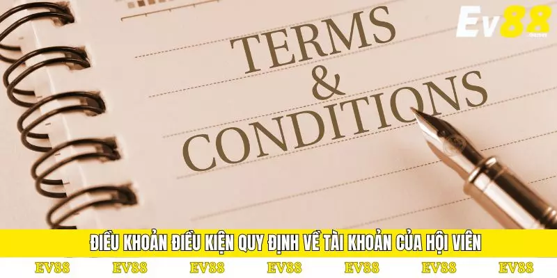 Điều Khoản Điều Kiện 2 Điều khoản điều kiện hội viên nên chấp hành