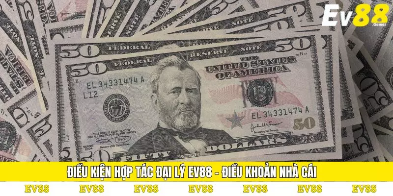 Hợp Tác Đại Tý 1 Điều kiện hợp tác đại lý EV88 - Điều khoản nhà cái