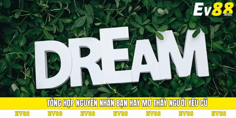 Mơ Thấy Người Yêu Cũ - Bật Mí Những Con Số May Mắn Nhất 4 Tổng hợp nguyên nhân bạn hay mơ thấy người yêu cũ