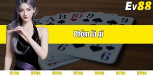 phỏm là gi - giải thích bởi ev88