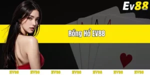 rồng hổ ev88 thumb